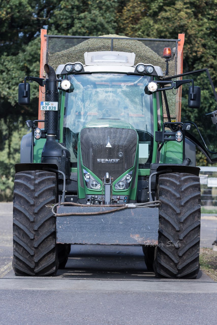 Bild 145 - Maisernte